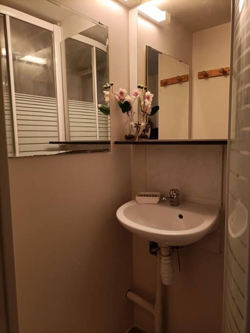 Agreable Et Paisible Studio Franqueville-Saint-Pierre المظهر الخارجي الصورة